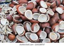 Coconut Copra