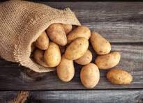 Potato