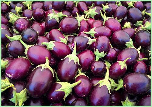Brinjal
