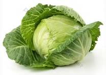 Cabbage