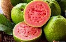 Guava
